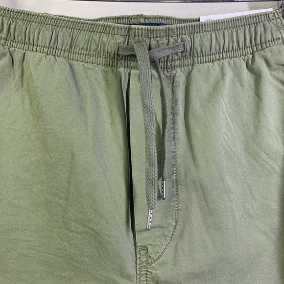 AMERICAN EAGLE‎ OUTFITTERS Green Flex Trekker Jogger Pants - NWT - Picture 3 of 16
